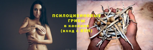 дмт Бугульма