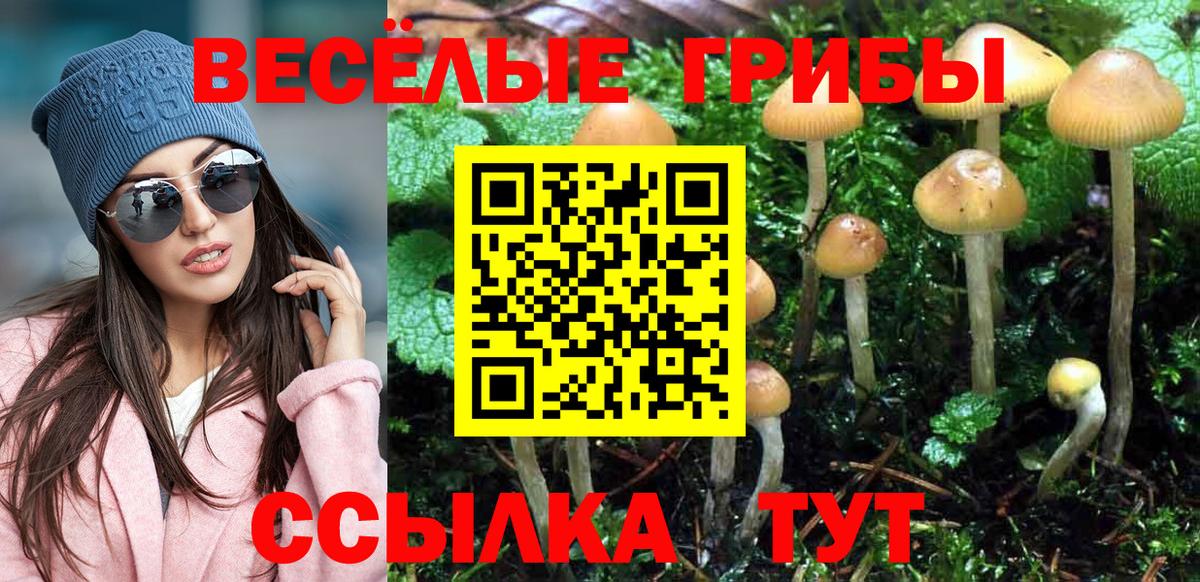 Галлюциногенные грибы ЛСД  Березники  Псилоцибиновые грибы Psilocybe 