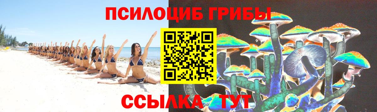 Псилоцибиновые грибы Cubensis  Вход с VPN  Березники 